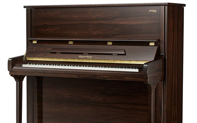 Etoile-Collection_KA6TX-Ziricote