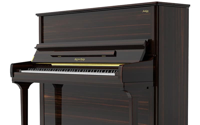 Etoile-Collection_Straight-Lined-Ebony