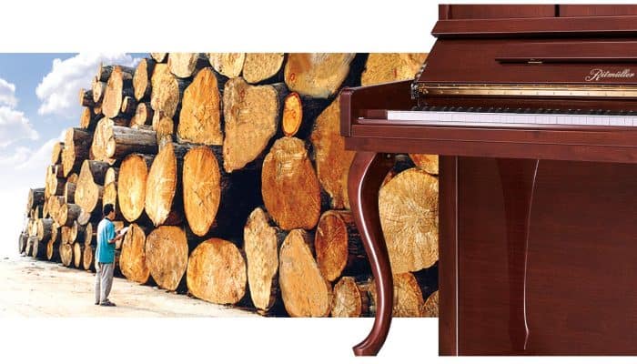 Hardwoods-oxif1rrttlsmw7y6pk7rpxzof4fnrybqkqgmrn4bkw
